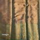 Kanchipattu-100