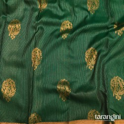 Kanchipattu-13 Kanchipattu-13