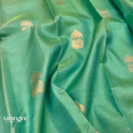 Kanchipattu-27