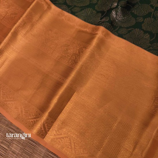 Kanchipattu-50